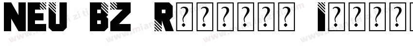 NEU BZ Regular Identity H字体转换
